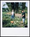 Allotments