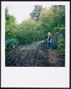 Allotments