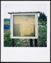 Allotments