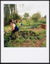 Allotments
