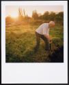 Allotments