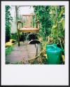 Allotments