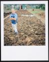 Allotments