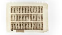 [Plate 426: negative for Animal Locomotion collotype]