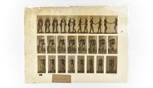 [Plate 444: negative for Animal Locomotion collotype]