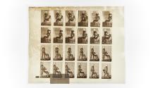 [Plate 451: negative for Animal Locomotion collotype]