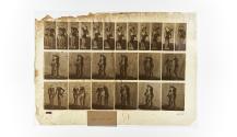 [Plate 453: negative for Animal Locomotion collotype]