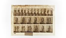 [Plate 453: negative for Animal Locomotion collotype]
