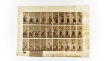 [Plate 454: negative for Animal Locomotion collotype]