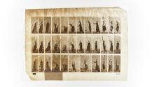 [Plate 463: negative for Animal Locomotion collotype]