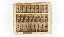 [Plate 478: negative for Animal Locomotion collotype]