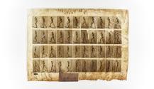 [Plate 489: negative for Animal Locomotion collotype]