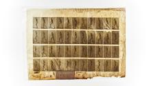 [Plate 489: negative for Animal Locomotion collotype]
