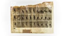 [Plate 494: negative for Animal Locomotion collotype]