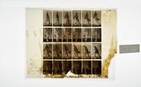 [Plate 49: negative for Animal Locomotion collotype]