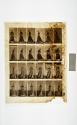 [Plate 48: negative for Animal Locomotion collotype]
