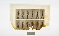 [Plate 47: negative for Animal Locomotion collotype]