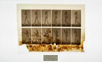[Plate 44: negative for Animal Locomotion collotype]