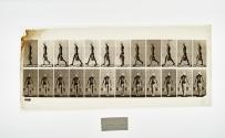 [Plate 29: negative for Animal Locomotion collotype]