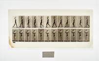 [Plate 27: negative for Animal Locomotion collotype]