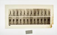 [Plate 25: negative for Animal Locomotion collotype]