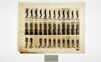 [Plate 119: negative for Animal Locomotion collotype]