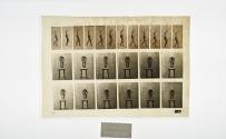 [Plate 118: negative for Animal Locomotion collotype]
