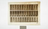 [Plate 125: negative for Animal Locomotion collotype]