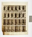 [Plate 140: negative for Animal Locomotion collotype]