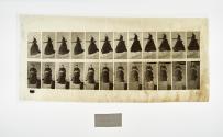 [Plate 134: negative for Animal Locomotion collotype]