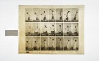 [Plate 298: negative for Animal Locomotion collotype]