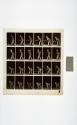 [Plate 386: negative for Animal Locomotion collotype]