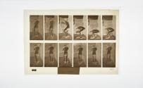 [Plate 397: negative for Animal Locomotion collotype]