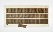 [Plate 301: negative for Animal Locomotion collotype]