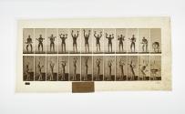 [Plate 322: negative for Animal Locomotion collotype]