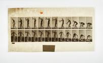 [Plate 326: negative for Animal Locomotion collotype]
