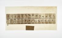 [Plate 362: negative for Animal Locomotion collotype]