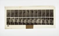 [Plate 366: negative for Animal Locomotion collotype]