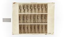 [Plate 405: negative for Animal Locomotion collotype]