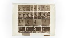 [Plate 400: negative for Animal Locomotion collotype]