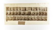 [Plate 404: negative for Animal Locomotion collotype]