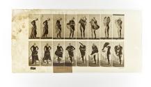 [Plate 425: negative for Animal Locomotion collotype]