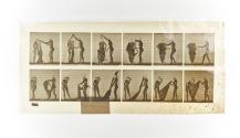 [Plate 427: negative for Animal Locomotion collotype]