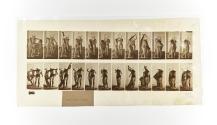 [Plate 428: negative for Animal Locomotion collotype]
