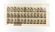 [Plate 432: negative for Animal Locomotion collotype]