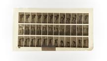 [Plate 434: negative for Animal Locomotion collotype]