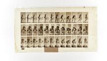 [Plate 435: negative for Animal Locomotion collotype]