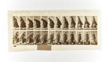 [Plate 437: negative for Animal Locomotion collotype]