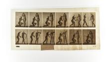 Plate 452: negative for Animal Locomotion collotype]