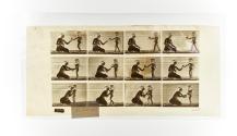 [Plate 465: negative for Animal Locomotion collotype]
